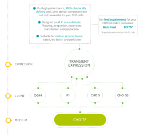 Xell CHO media for transient expression